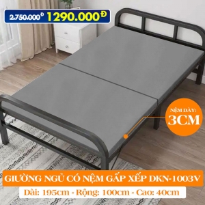 [ĐẸP - RẺ - CỨNG CÁP] Giường Ngủ Có Nệm Gấp Gọn DAKITA DKN-1003V Xám Đậm [HÀI LÒNG 100%]
