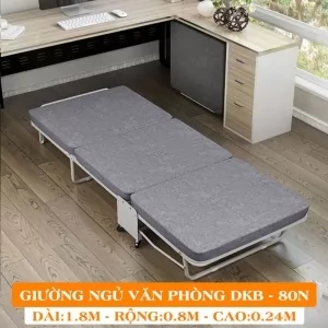 Giường Ngủ  DKB-80N - Giường Ngủ Có Nệm Gấp Gọn Đa Năng (Rộng 80cm)