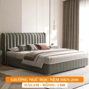 Giường Ngủ Bọc Nệm Dakita Cao Cấp DKN-200 [1m8x2m]